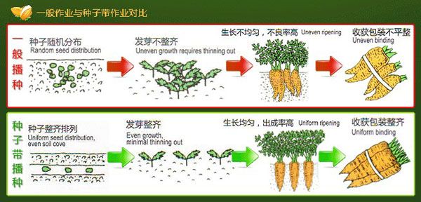 紙帶與線盤.jpg